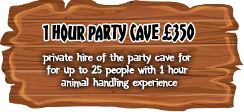 1 Hour Party Cave Hire