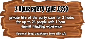 2 Hour Party Cave Hire
