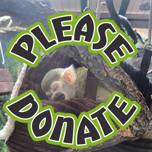 Please donate