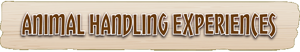 Animal Handling Experiences