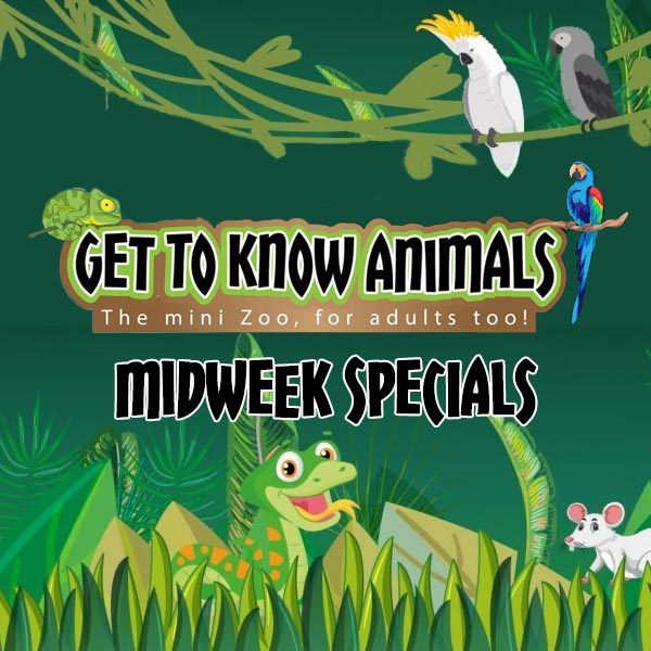 Midweek Specials