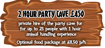2 Hour Party Cave