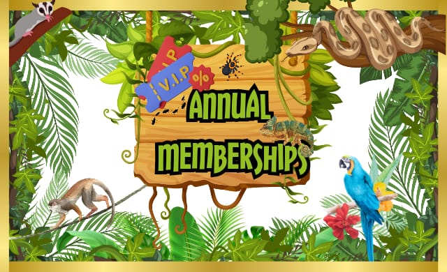 Annual Memberships