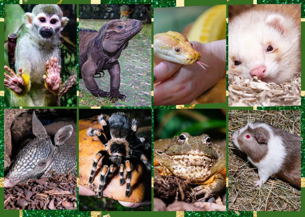 WhatsApp Image 2025-04-04 at 14.22.22