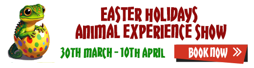 Easter Holidays Animal Handling Show