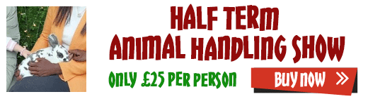 half-term2