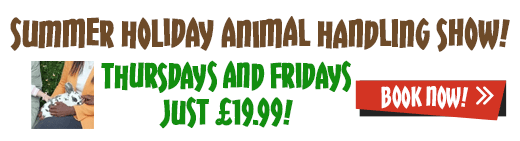 Animal Handling Show